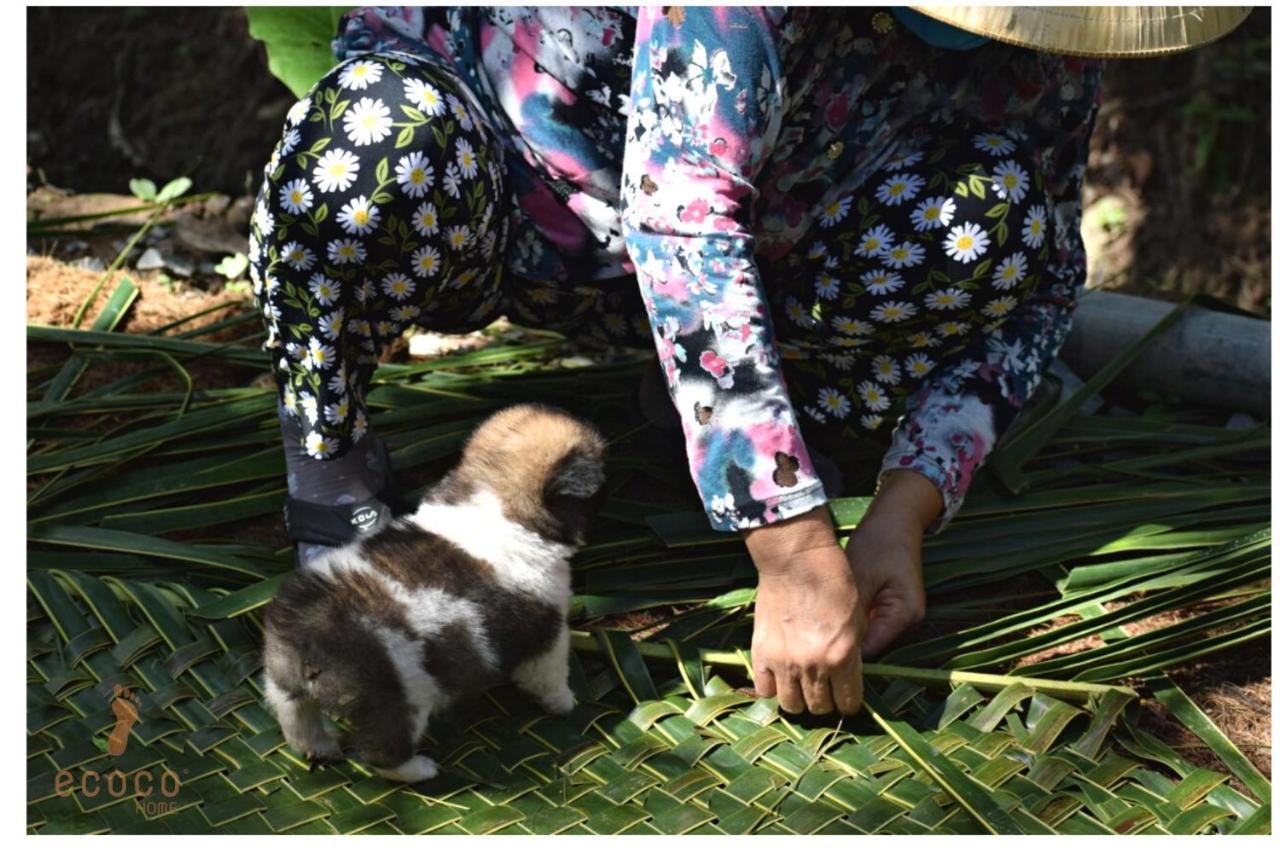 Ecoco Homestay Mekong Ben Tre Luaran gambar