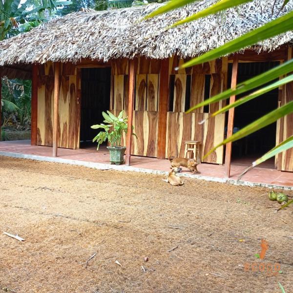 Ecoco Homestay Mekong Ben Tre Luaran gambar